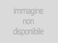 immagine proposta di lettura